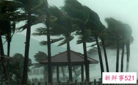 台风怎么引起的