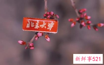 战略管理的特征