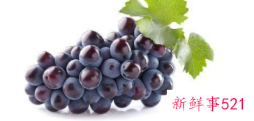 吃什么最滋润皮肤