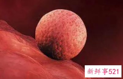 试管移植着床成功的第一感觉