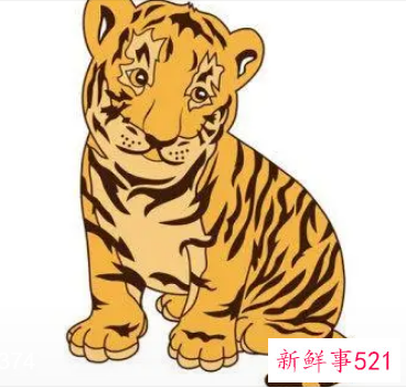 属虎不宜配什么属相