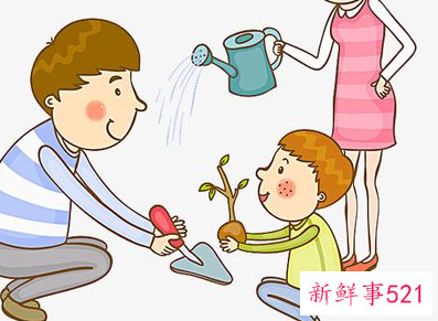 简单的活动方案模板