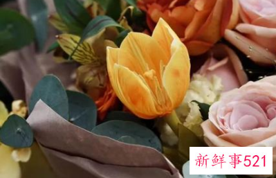 家的寓意是什么