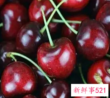 车厘子是热性还是凉性