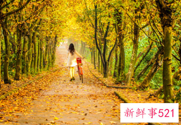 文静的女生的特征