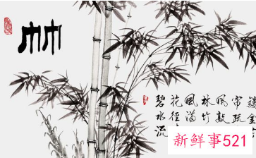 茶房挂什么字画好