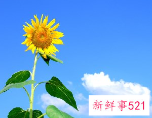 怎样收回被借走的运气