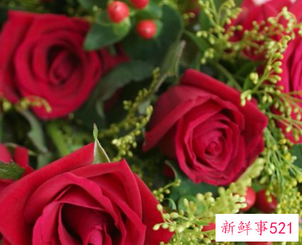 第一次见女网友送什么