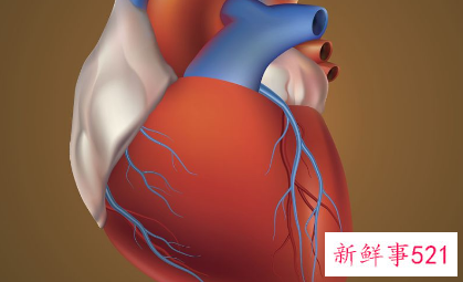 新生儿心脏房间隔缺损怎么办