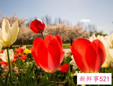 表达自己内心感受的句子