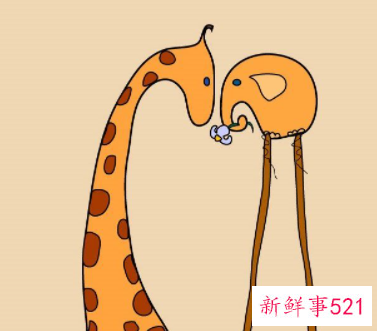 容易发脾气是什么原因