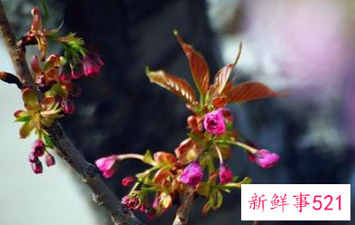 女孩子最想听的暖心话