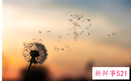 寓意含梅字的微信名