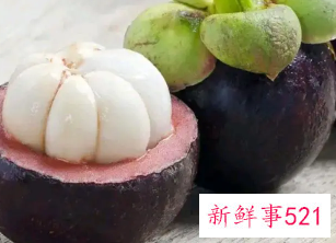 山竹功效与作用有什么