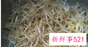 凉拌绿豆芽干豆腐丝