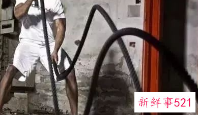 什么运动可以锻炼全身肌肉