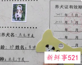 重庆狗证有效期是多长时间