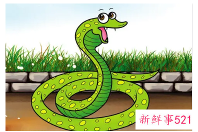 梦见自己抱着蛇是什么意思