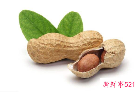 花生的蛋白质含量是多少