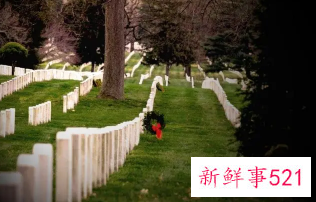 梦见好多人到家地里起坟