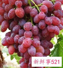 提子的作用与功效