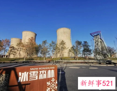 冬奥主题花坛将于20日完工亮相