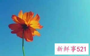 心态越来越好的句子