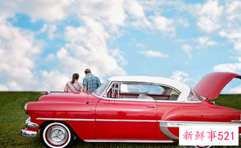 1995年属猪的幸运数字