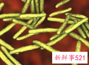 女人梦见瘟疫是什么意思