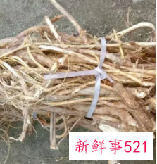 五指毛桃是寒还是热