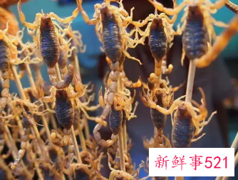 吃炸蝎子有什么好处吗