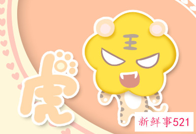 2010年属虎的是什么命