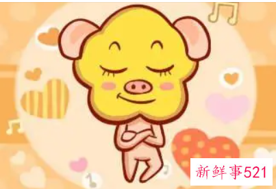 95年属猪人永久吉利的数字和颜色