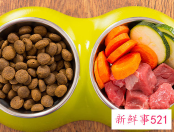 狗粮配方一般是什么组成的