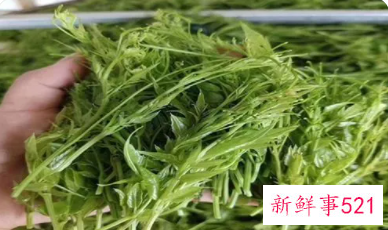 莓茶的禁忌莓茶什么人不适合喝