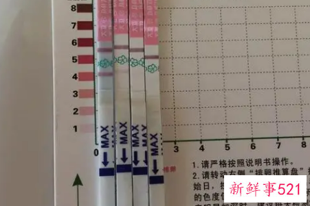 排卵试纸怎么用呢