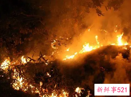梦见稻草着火了是什么征兆