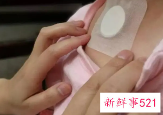 三伏贴一般贴哪里