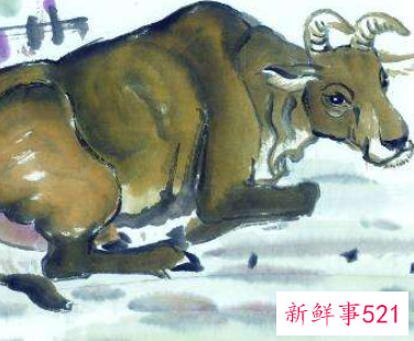 属牛的人能搬家吗