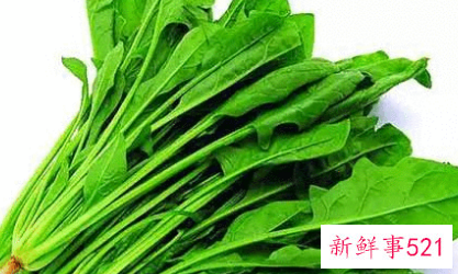 常吃菠菜有坏处吗