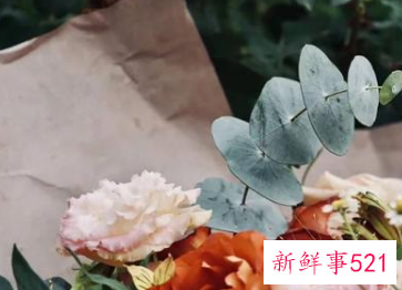 家的寓意是什么