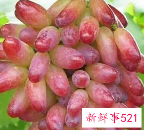 提子的作用与功效