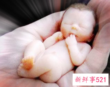 做家长的应该怎样教育孩子