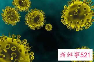 女人梦见瘟疫是什么意思