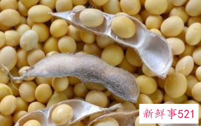 黄豆的功效与作用吃法