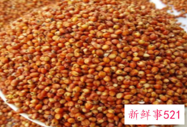 温性的五谷杂粮