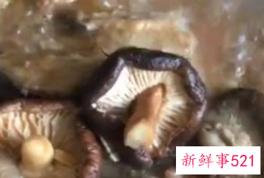 鸭子的做法有哪些