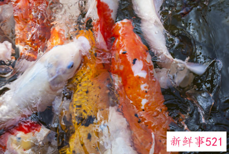 怎样收回被借走的运气