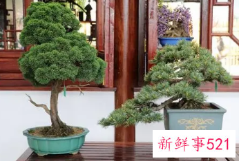 发小订婚送什么礼物好