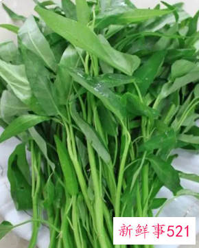 空心菜为什么叫饿死老公菜